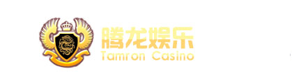 腾龙公司电话19908831166